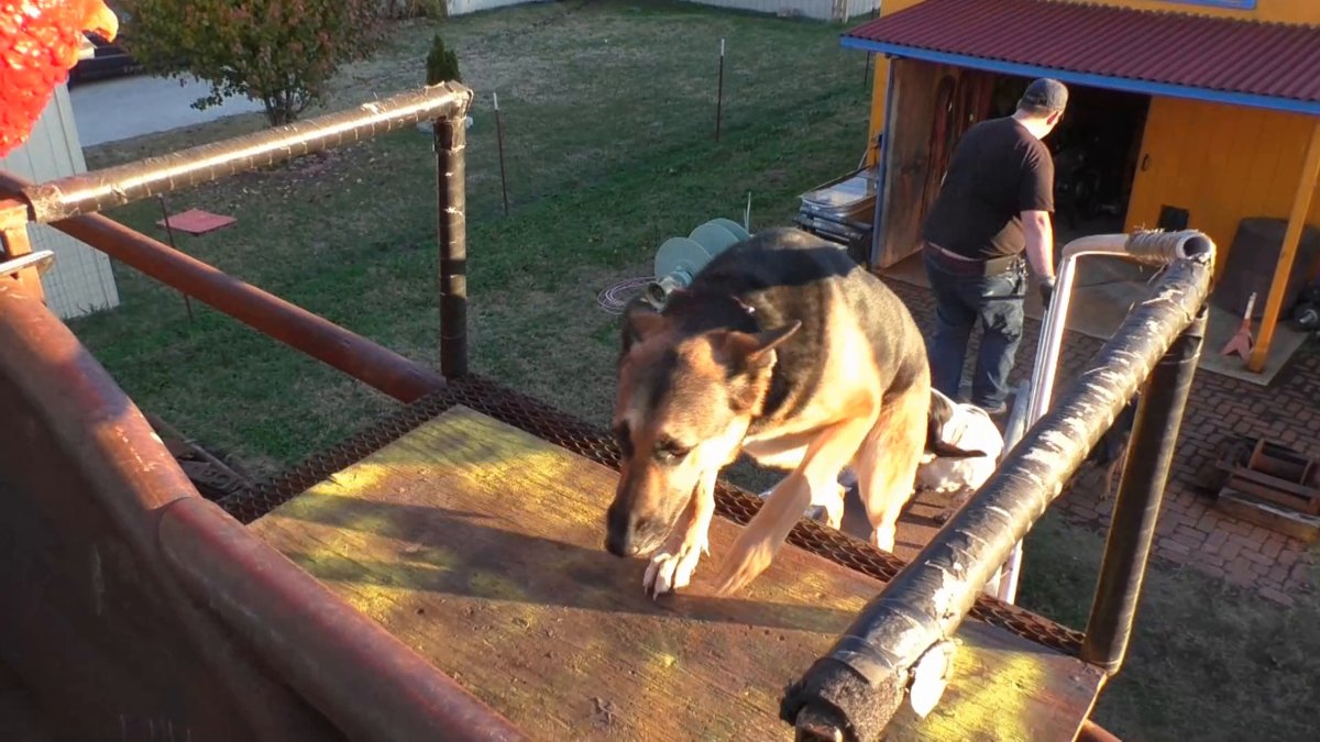 Animal companions — 161207 Foremast & Sole & Deck Hatch & CNC Routing
