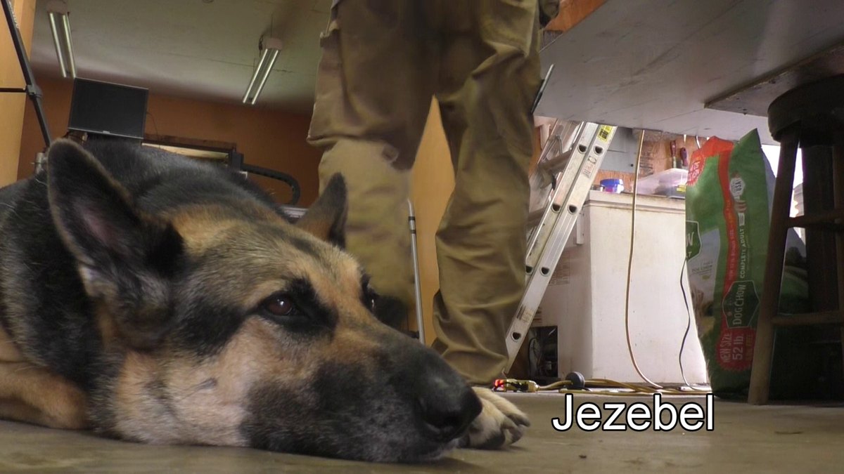 Animal companions — 170613 Junk Rig Sailmaking - the Mizzen Sail