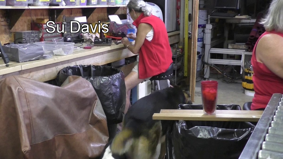 Animal companions — 170808 Junk Sails, False Seams, ROV Wiring, Reed Switches, Pololu 2808
