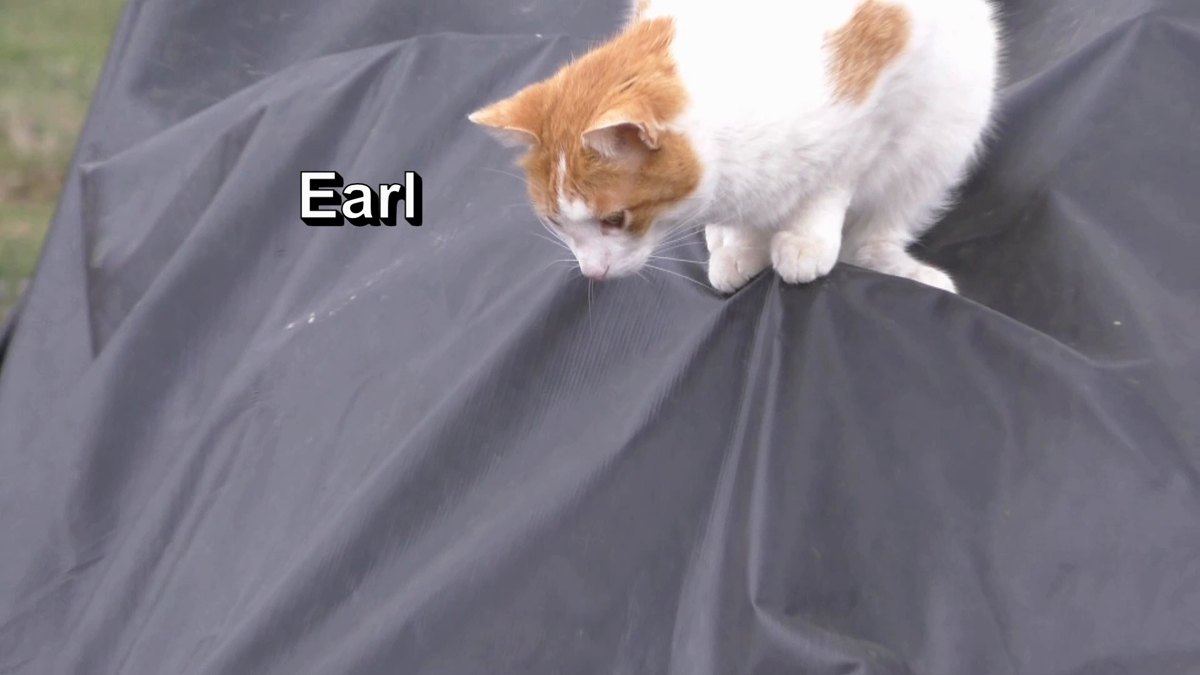 Animal companions — 160315 Anchor Winch Rebuild - Part 11 - Capstans & Lead