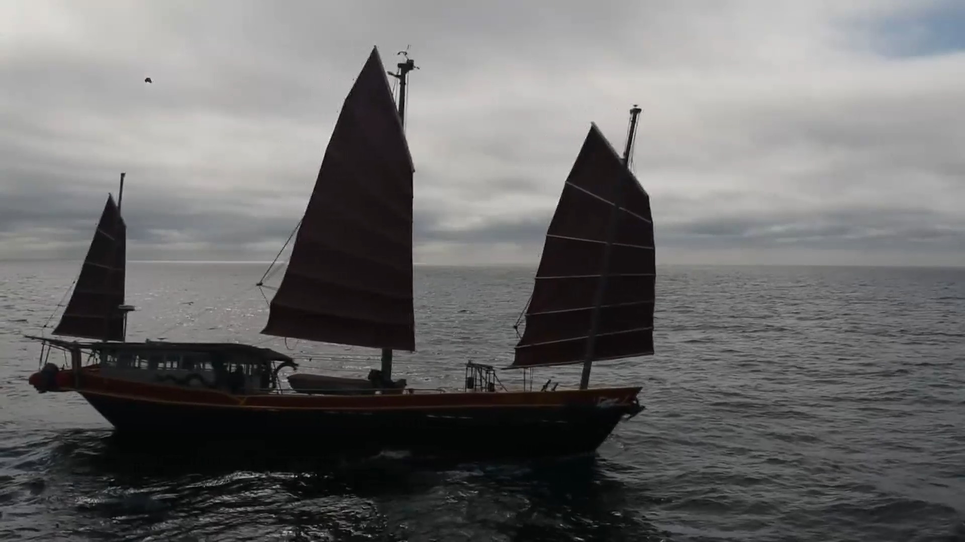 260829 Sailing Performance Report Clips