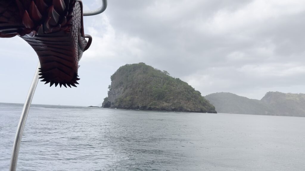 Caribbean Cetacean Society photo 2