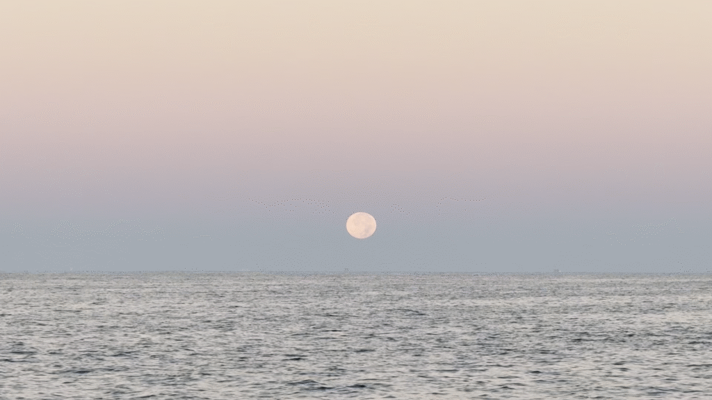 Cape Hatteras to Starboard photo 12