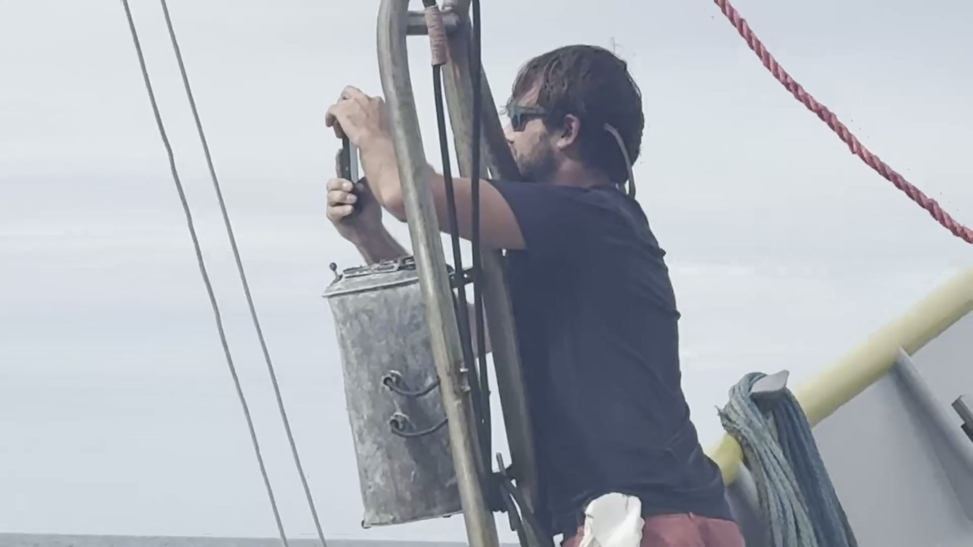 Sperm Whale still 2