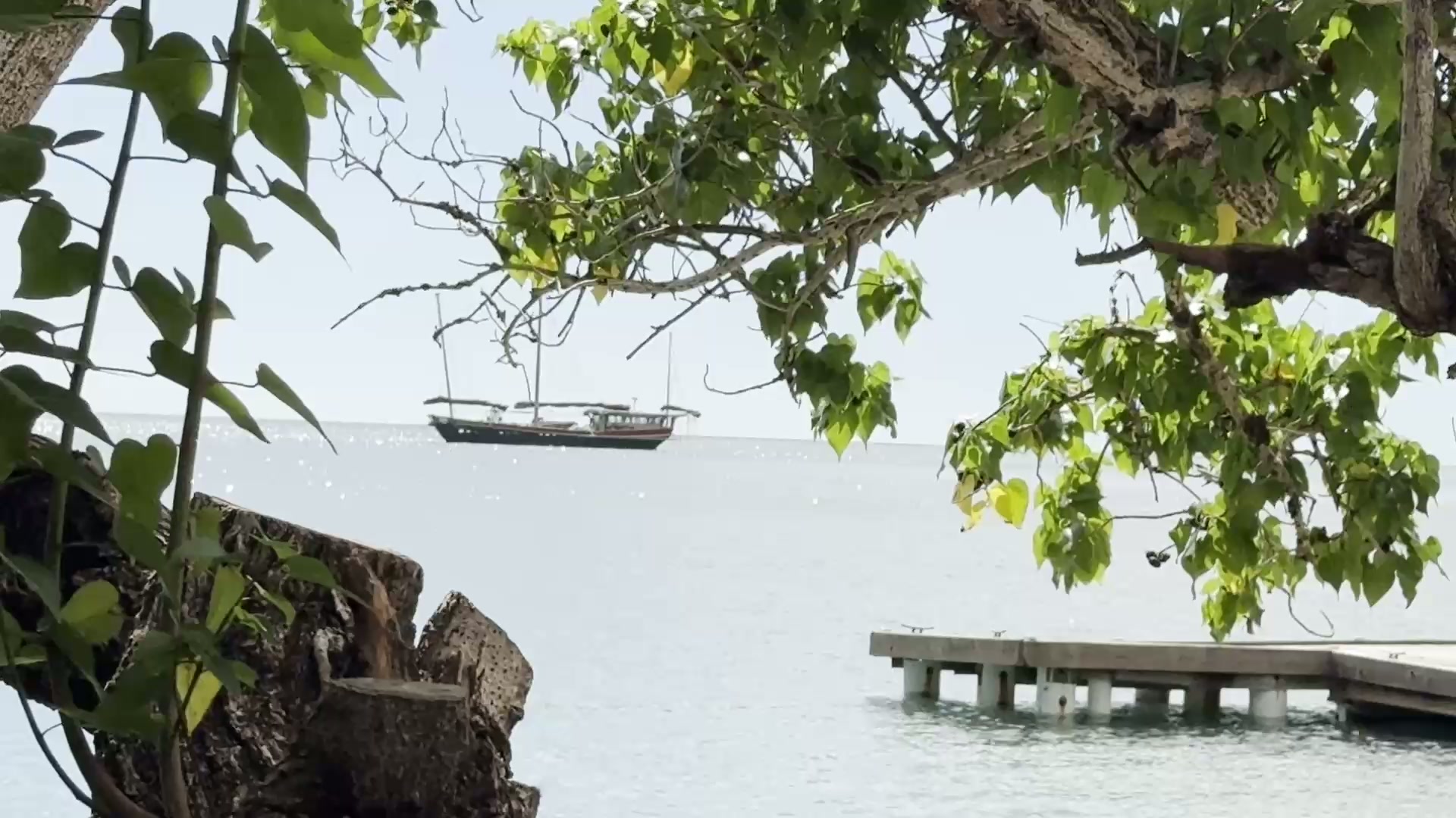 PredictWind Anchors and Puerto Rico still 6