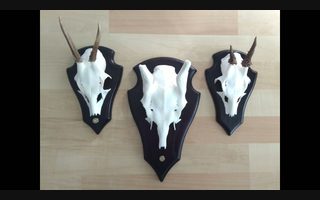 What Did You Make Today project