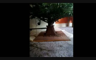 What Did You Make Today project