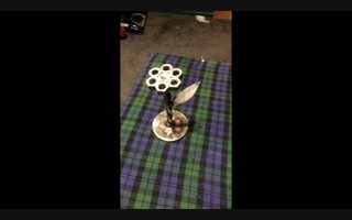 What Did You Make Today project