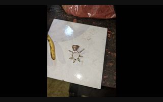 What Did You Make Today project