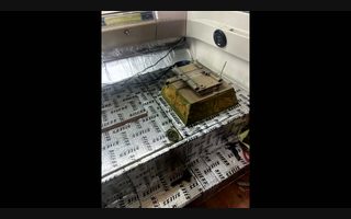 What Did You Make Today project