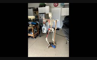 What Did You Make Today project