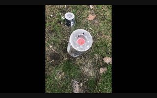What Did You Make Today project